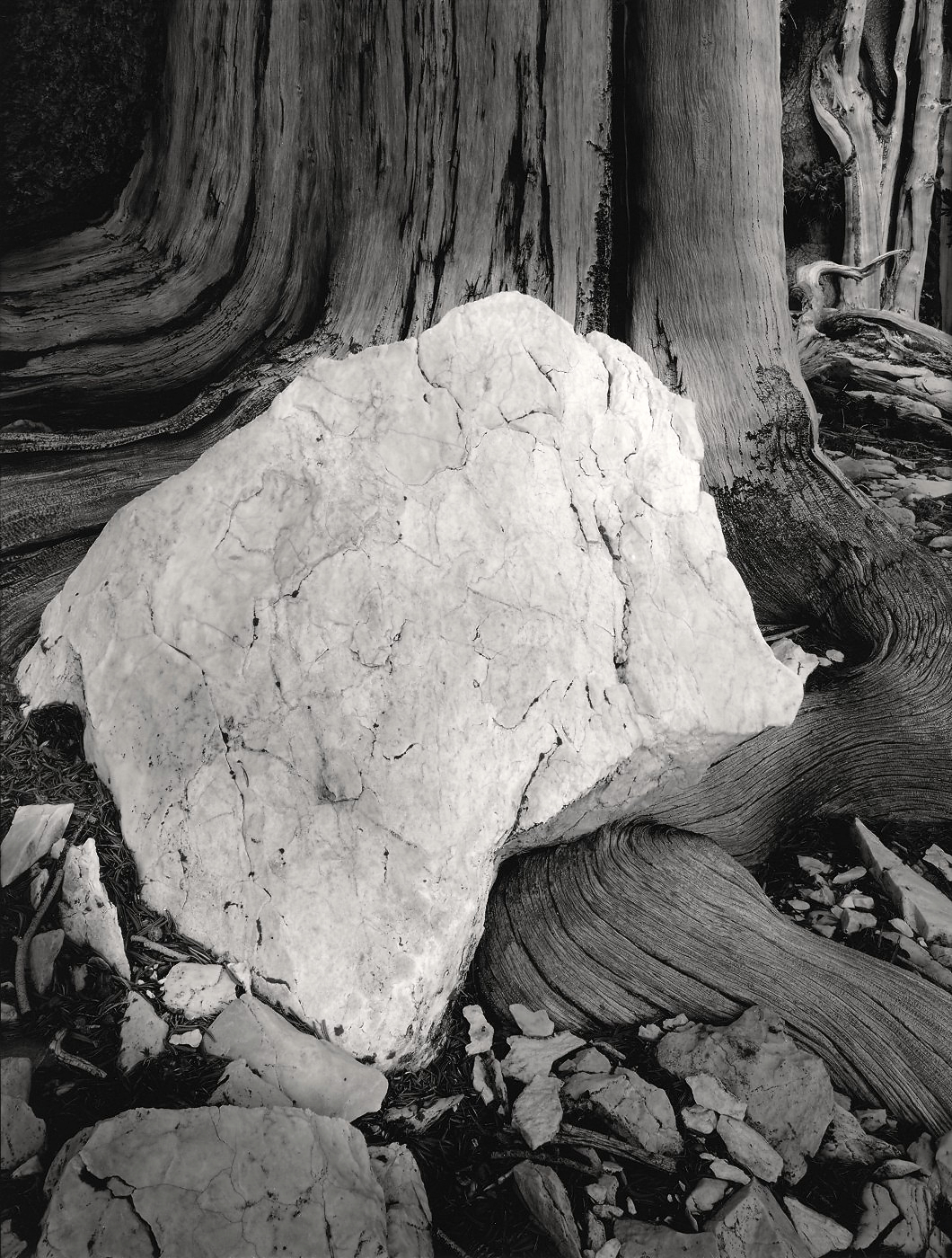 White Stone, Deep in the Forest1988