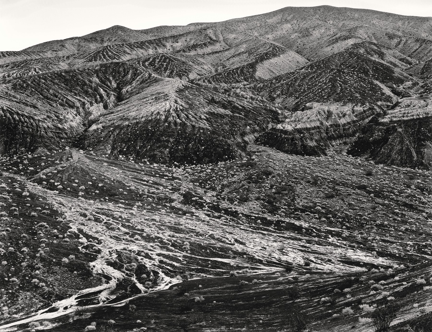 Hills near Tin Mountain1982